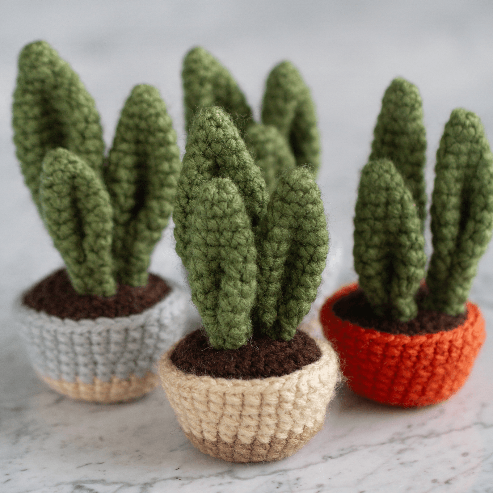 Crocheted plant